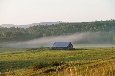 End of Summer 2014 in Northwest Alabama Image